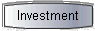 Investment 